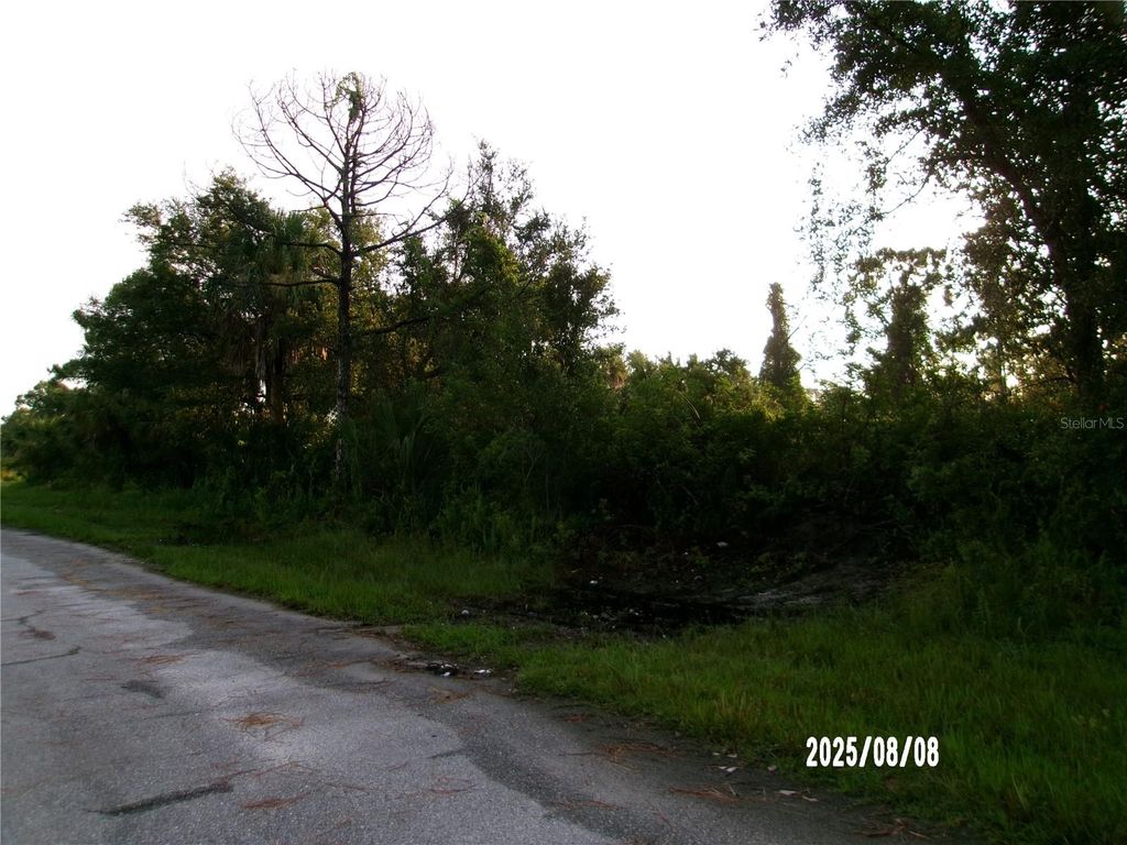 Photo of 3162 Milan Street, Port Charlotte, FL 33981 (MLS # C7513464)