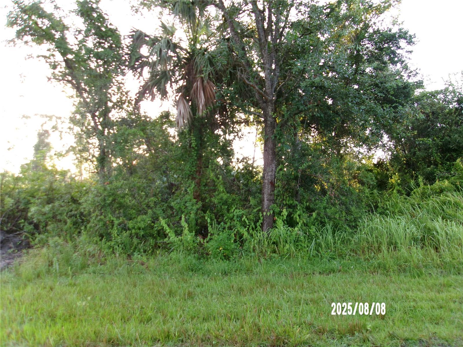 Peaceful and surrounded by nature, off the beaten path, but close enough to all shopping, dining and beach experiences. SW Florida is a leader in great weather (SUNSHINE) and golfing and boating. It's easy to find what pleases you here.