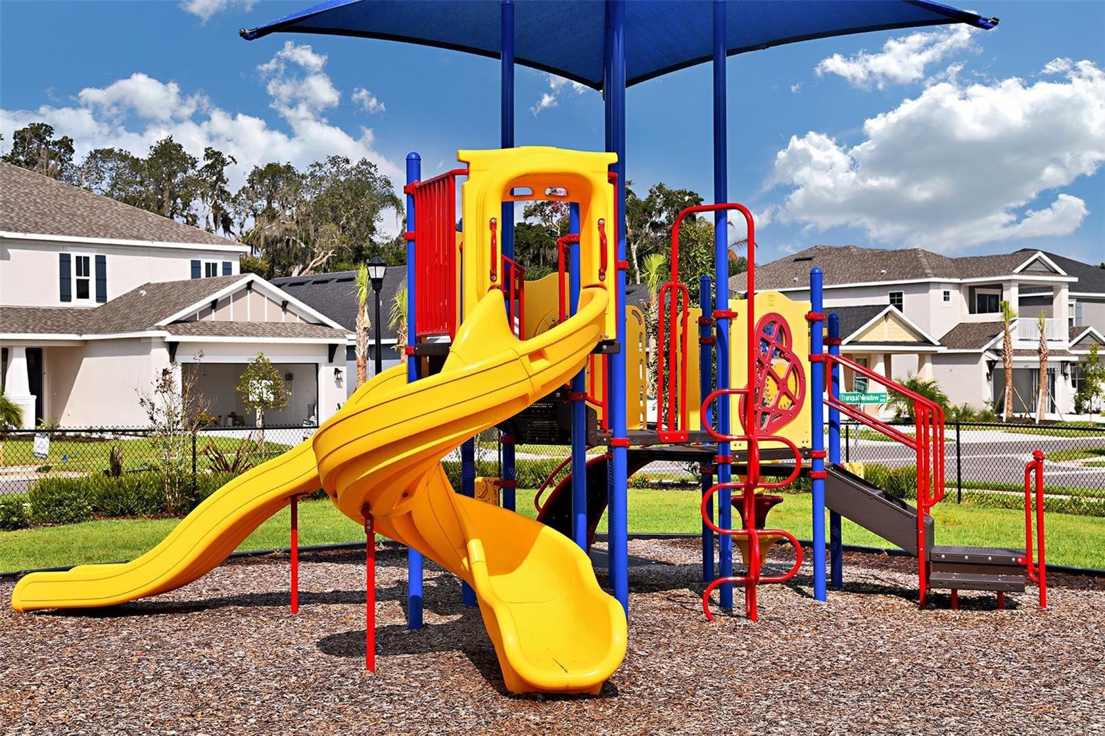 ECHO PARK - Residential