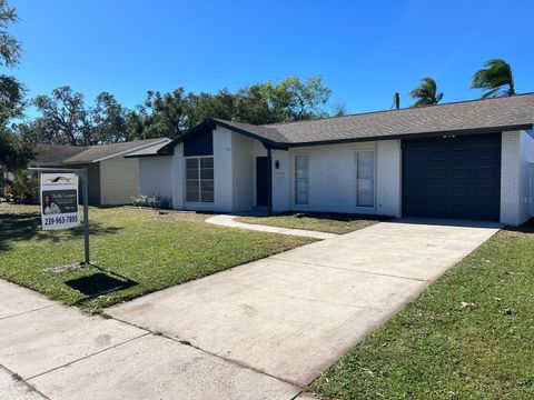 A home in TAMPA