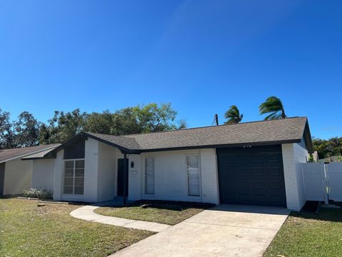 A home in TAMPA