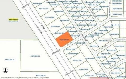 Tiny photo for 11997 SE Us Highway 441, Belleview, FL 34420 (MLS # OM711364)