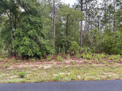 TBD SW 132ND PLACE OCALA FL 34473