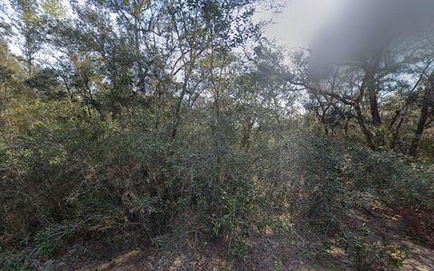 188 KAY STREET INTERLACHEN FL 32148