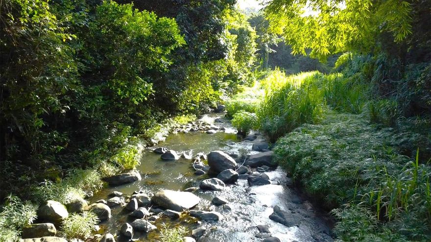 This 7,000 m² (1.78 cuerdas) lot offers an excellent investment opportunity thanks to its versatility and privileged location in Sector Las Flores, Bo. Carruzo, Carolina. With SRC – Suelo Rústico Común (Common Rustic Land) zoning, it is ideal for agricultural projects, eco-tourism developments, or a private residence surrounded by nature.

The property features mature teak, capa blanca, and oak trees, high-value hardwood species that add long-term value for those seeking a sustainable resource. It is located in a peaceful, green environment and borders the Canovanillas River, providing a unique natural landscape and the benefit of being close to a water source. Additionally, the property has an on-site water connection and nearby electrical hookups, making any development project easier to execute.

SRC zoning allows for:

**Single-family residence

**Country homes

**Low-impact eco-tourism activities

**Farming and cultivation

**Livestock or nurseries

**Agricultural-use infrastructure

Its location offers both tranquility and convenience—just minutes from main roads, local shops, schools, and routes to the metropolitan area—yet private enough to enjoy peace and direct contact with nature.

** A strategic investment for living, producing, or developing a project in harmony with the environment.