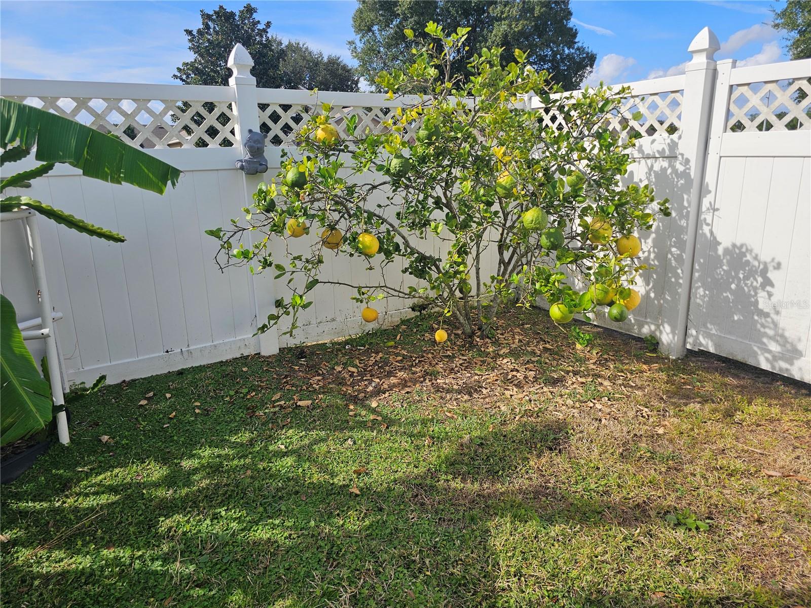 ROLLING HILLS ESTATES - Residential