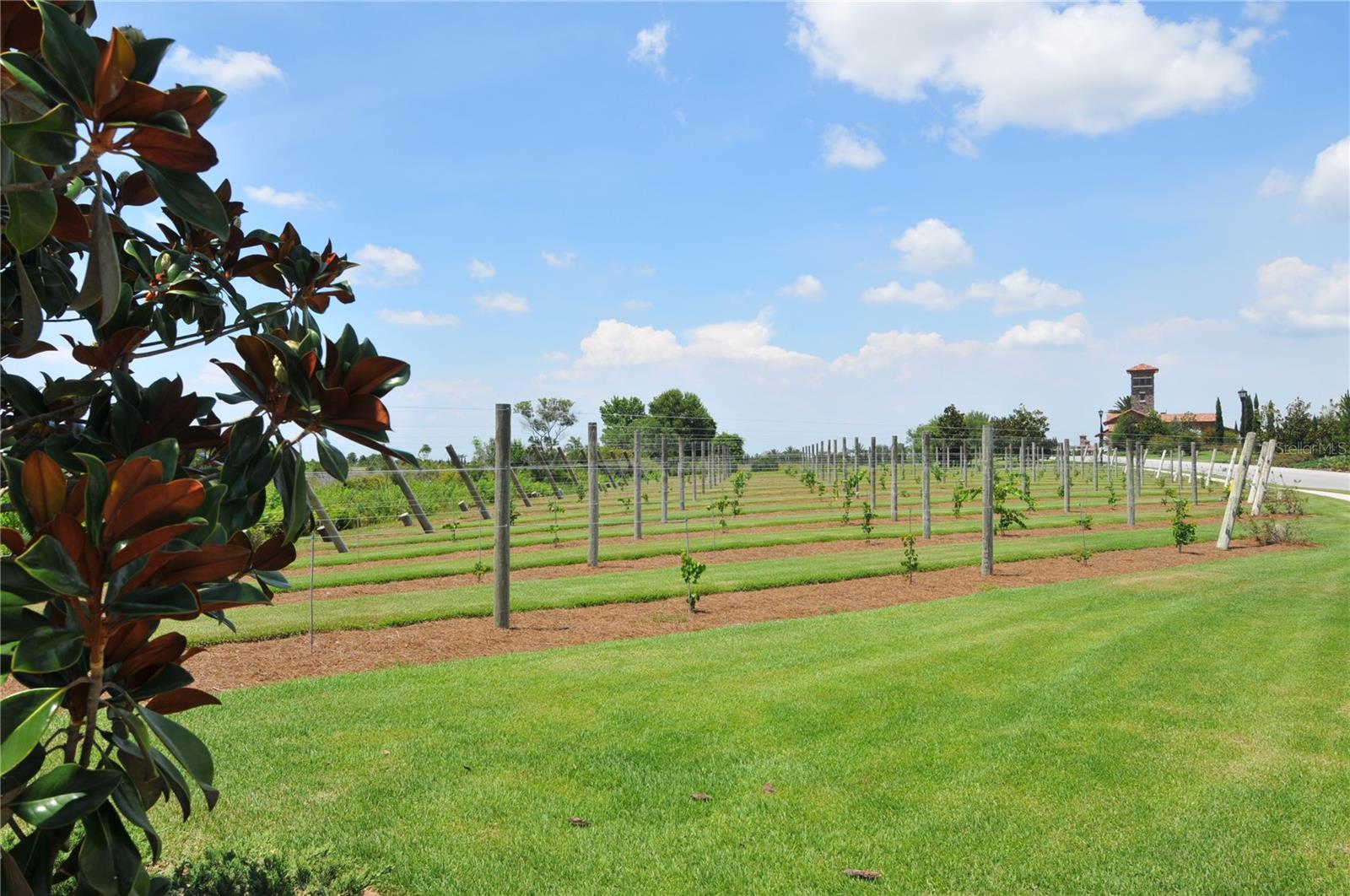 LAKE CLUB - Residential