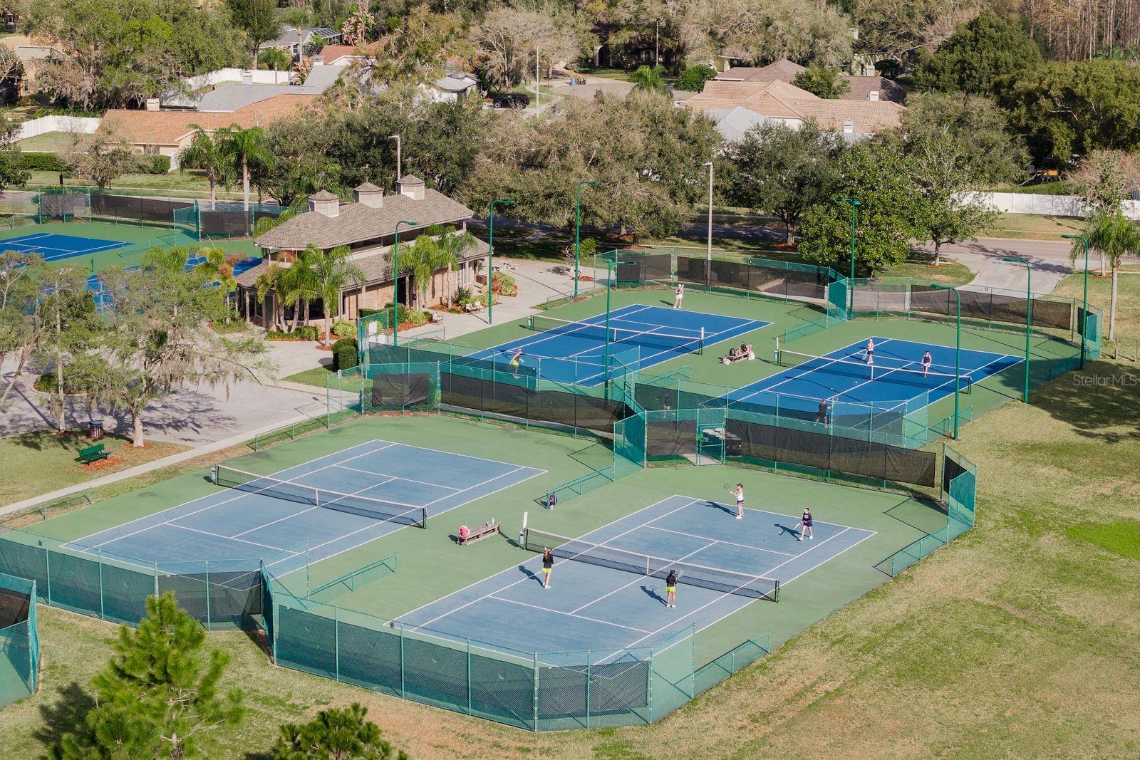 THE PADDOCKS AT VAN DYKE FARM - Residential
