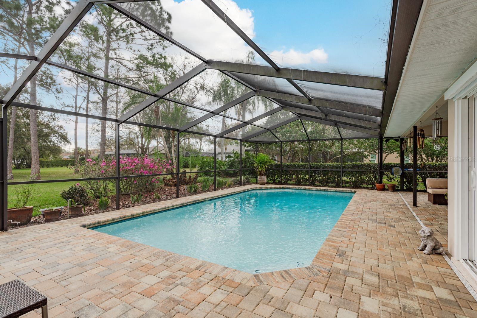 THE PADDOCKS AT VAN DYKE FARM - Residential