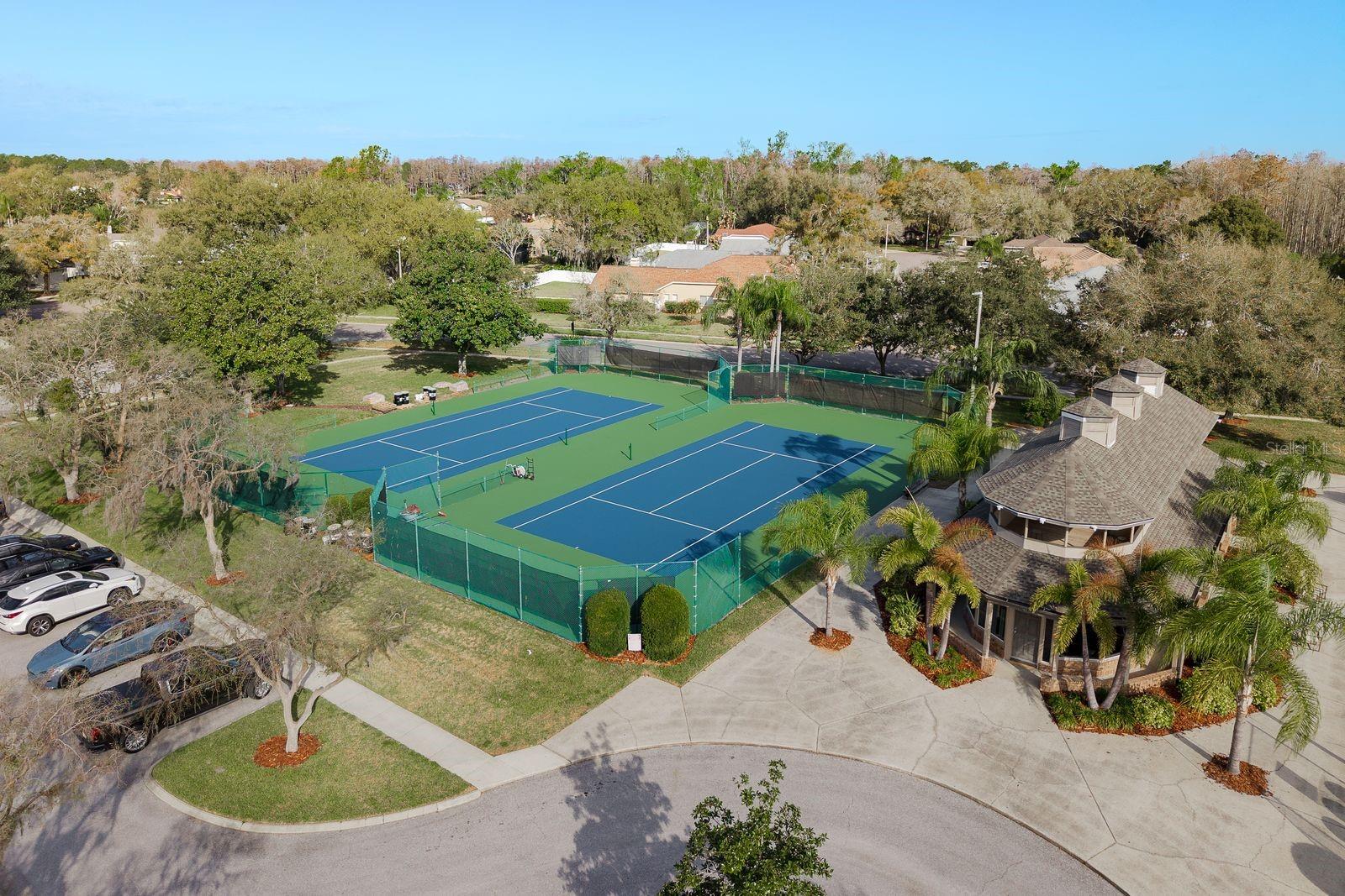 THE PADDOCKS AT VAN DYKE FARM - Residential