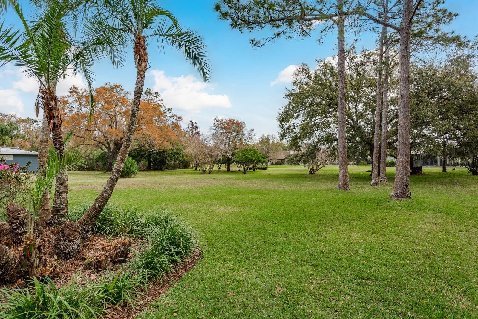 THE PADDOCKS AT VAN DYKE FARM - Residential
