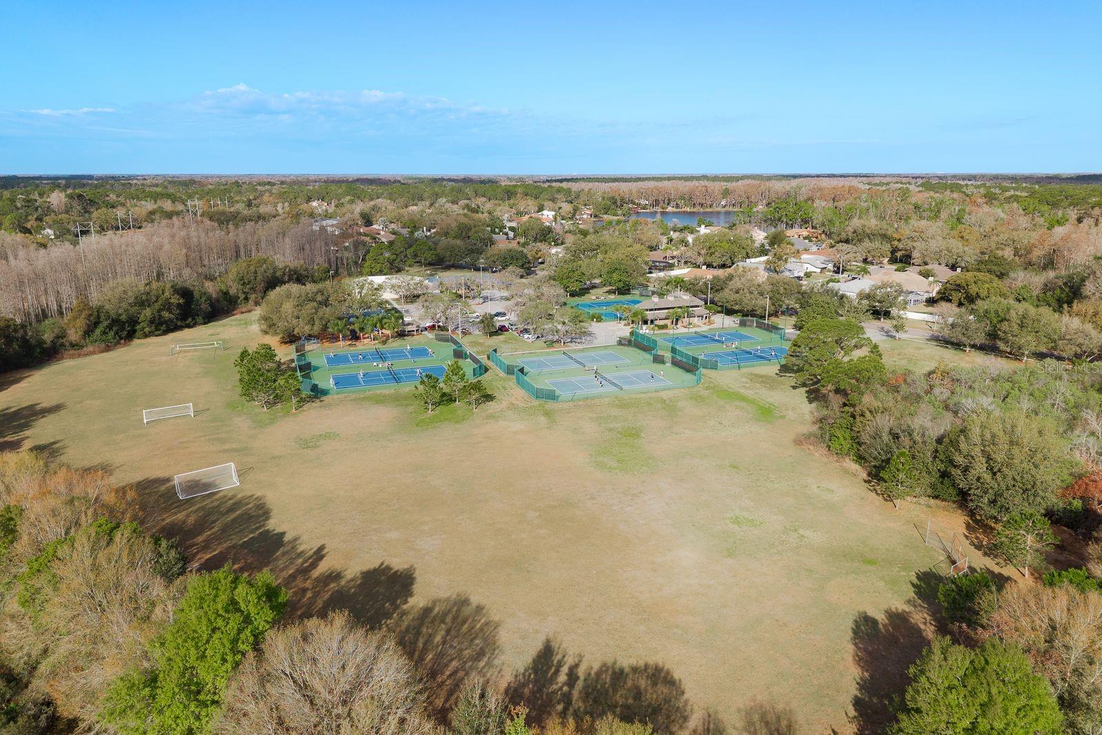THE PADDOCKS AT VAN DYKE FARM - Residential