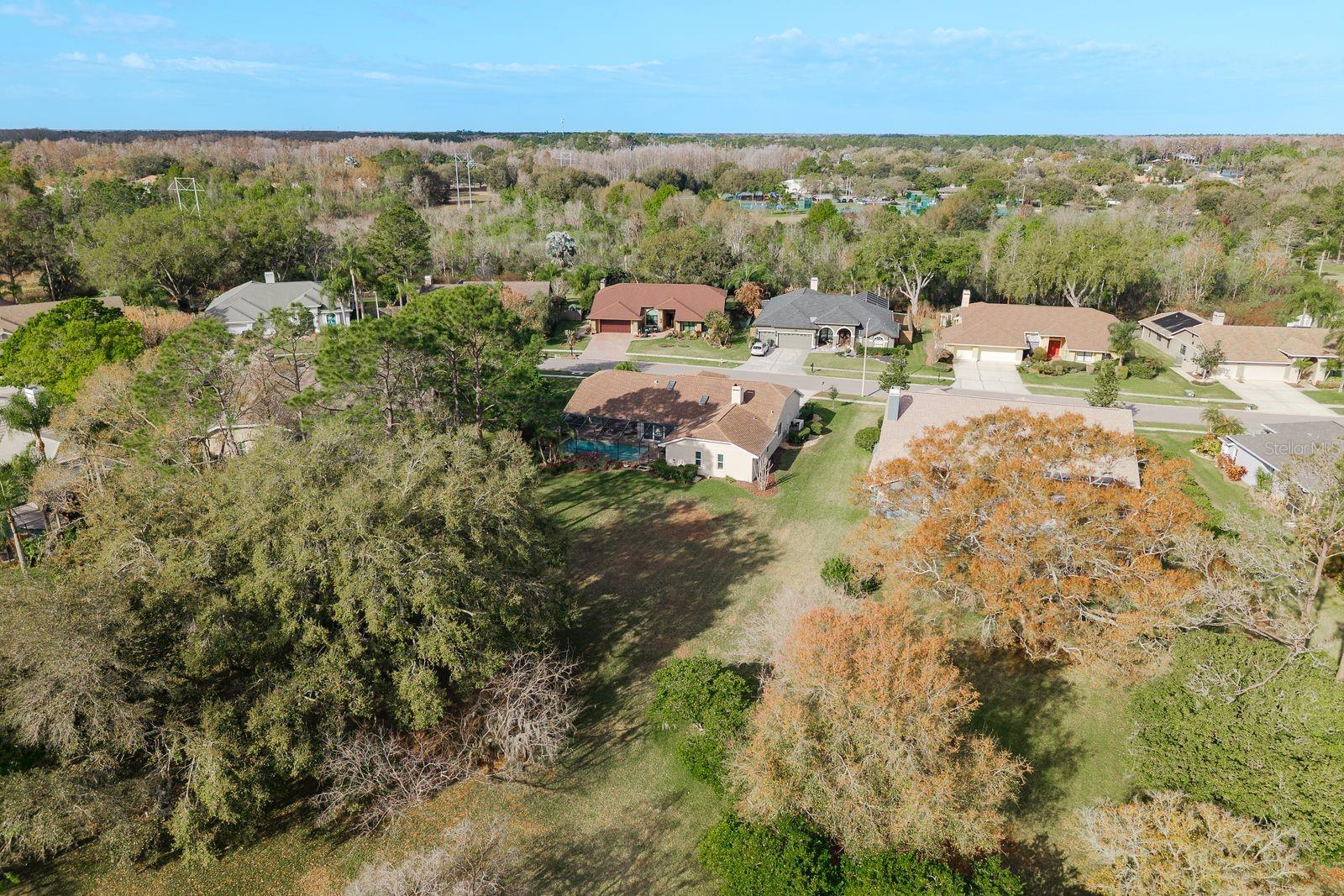 THE PADDOCKS AT VAN DYKE FARM - Residential