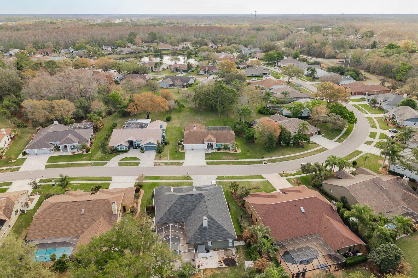 THE PADDOCKS AT VAN DYKE FARM - Residential