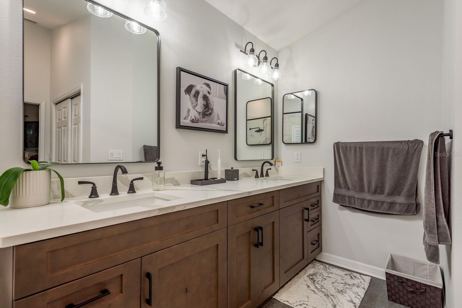 THE PADDOCKS AT VAN DYKE FARM - Residential