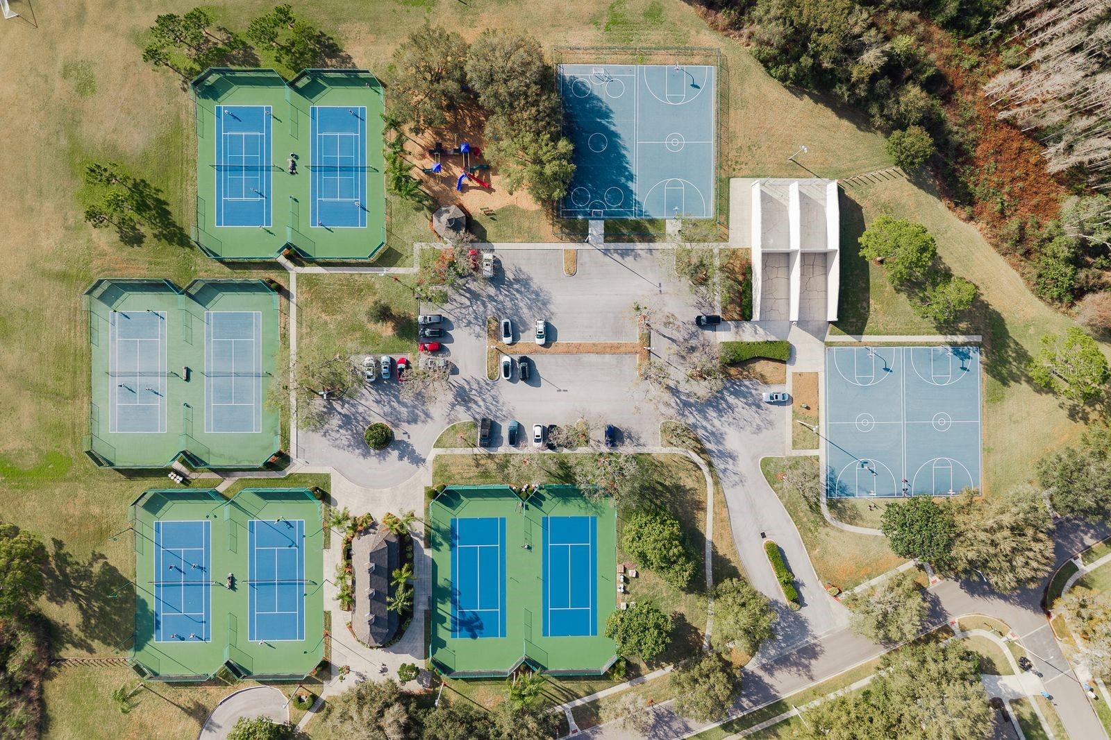 THE PADDOCKS AT VAN DYKE FARM - Residential