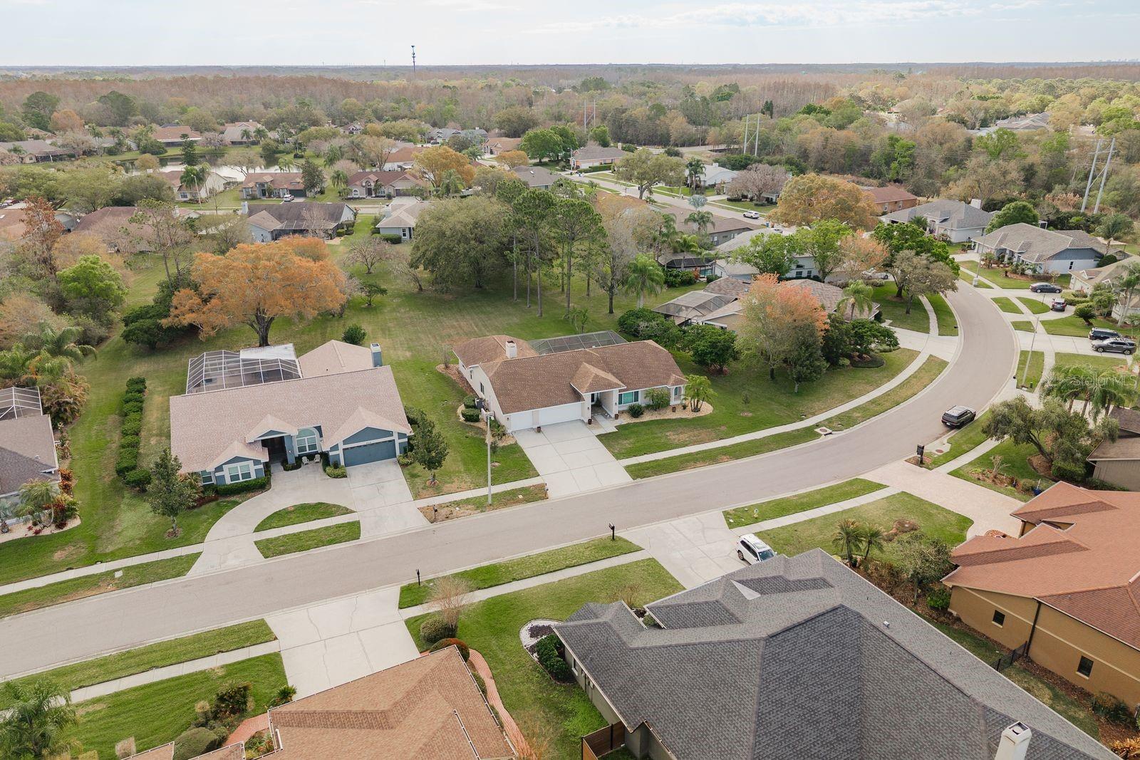 THE PADDOCKS AT VAN DYKE FARM - Residential