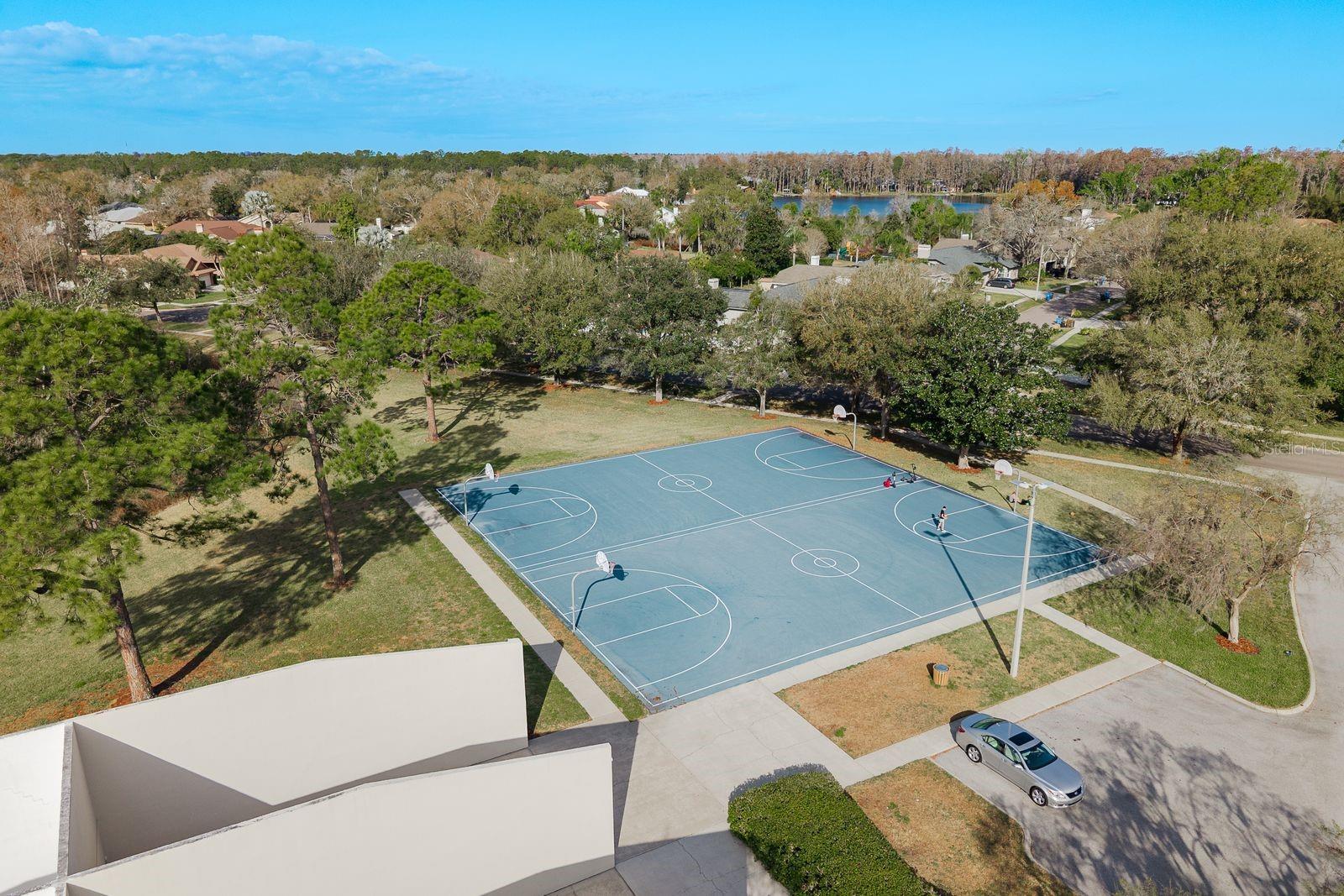 THE PADDOCKS AT VAN DYKE FARM - Residential