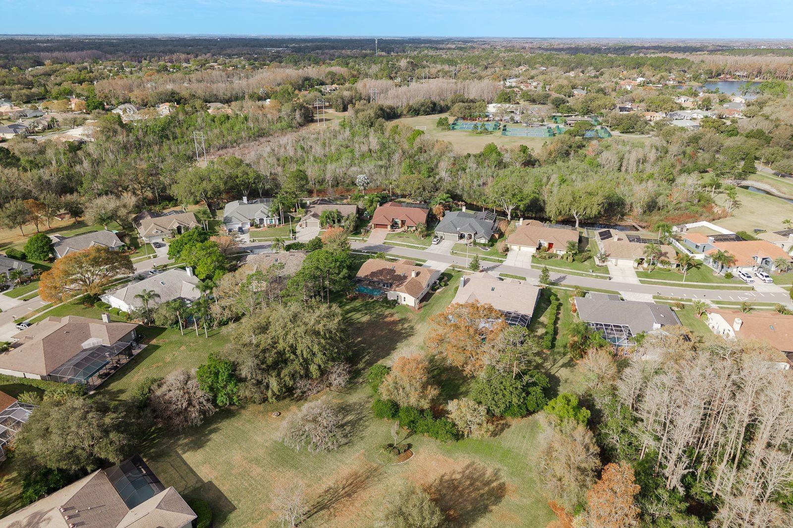 THE PADDOCKS AT VAN DYKE FARM - Residential