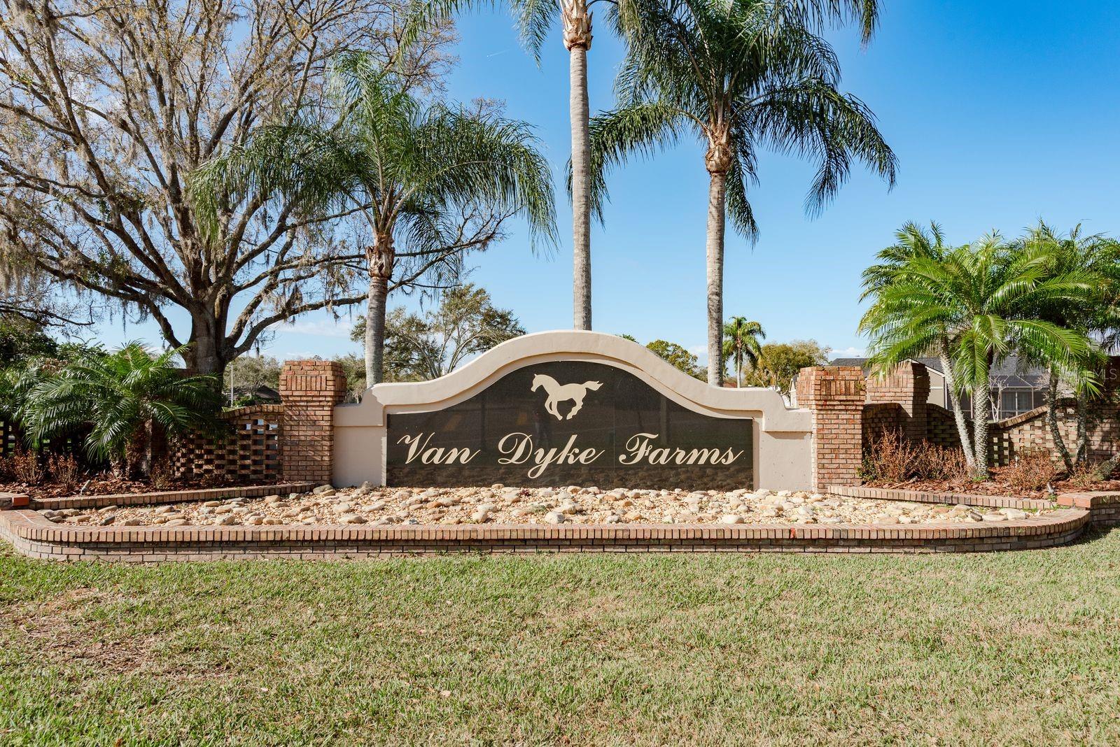 THE PADDOCKS AT VAN DYKE FARM - Residential