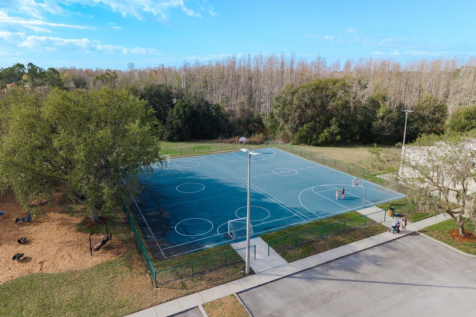 THE PADDOCKS AT VAN DYKE FARM - Residential