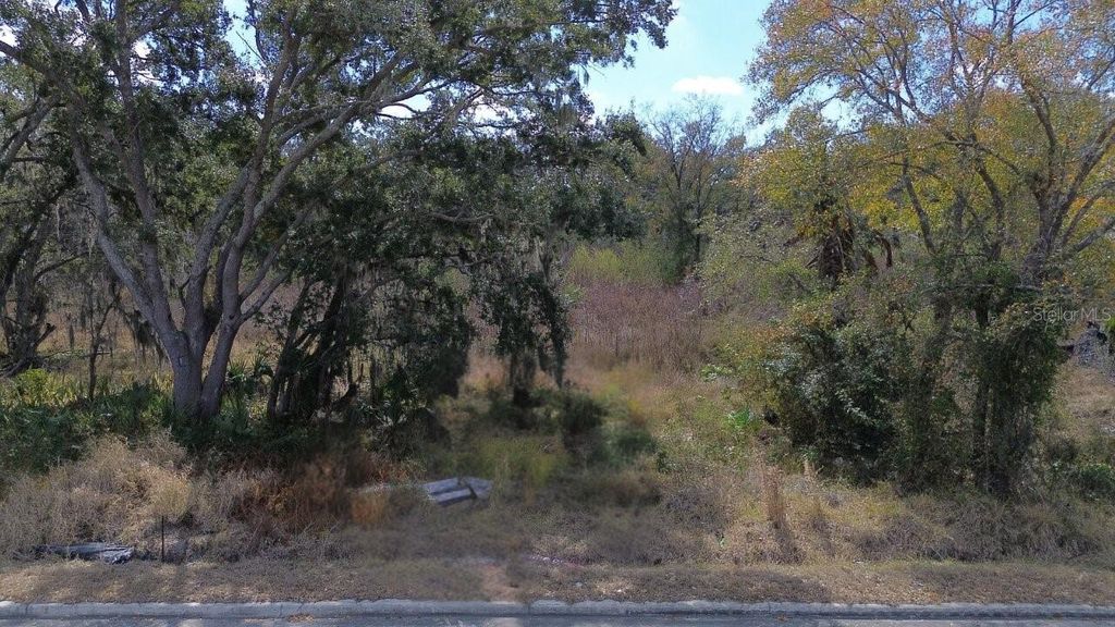 Photo of Diana Street, Tampa, FL 33610 (MLS # TB8476048)