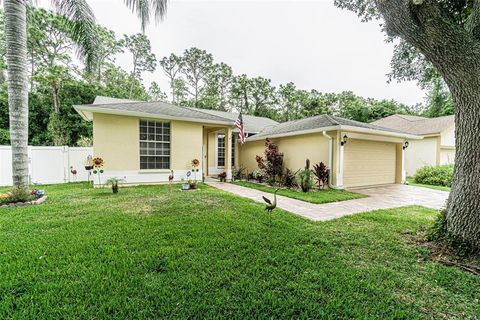 A home in TAMPA