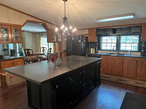 Tiny photo for 292 S Dew Plant Point, Crystal River, FL 34429 (MLS # TB8524605)