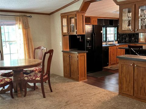 Tiny photo for 292 S Dew Plant Point, Crystal River, FL 34429 (MLS # TB8524605)