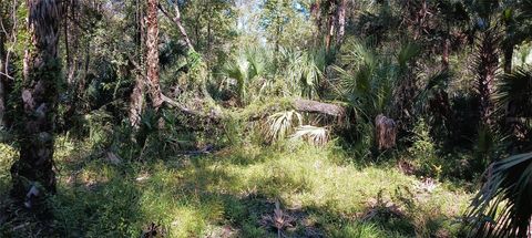 Tiny photo for 9302 W Tall Pines Court, Crystal River, FL 34428 (MLS # W7887073)