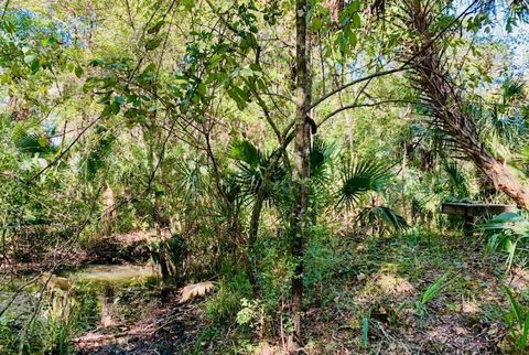 Tiny photo for 9302 W Tall Pines Court, Crystal River, FL 34428 (MLS # W7887073)