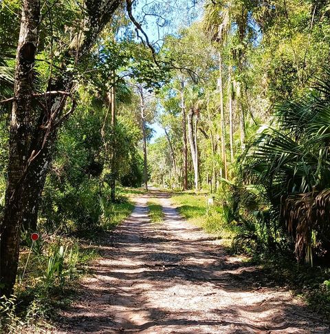 Photo of 9302 W Tall Pines Court, Crystal River, FL 34428 (MLS # W7887073)