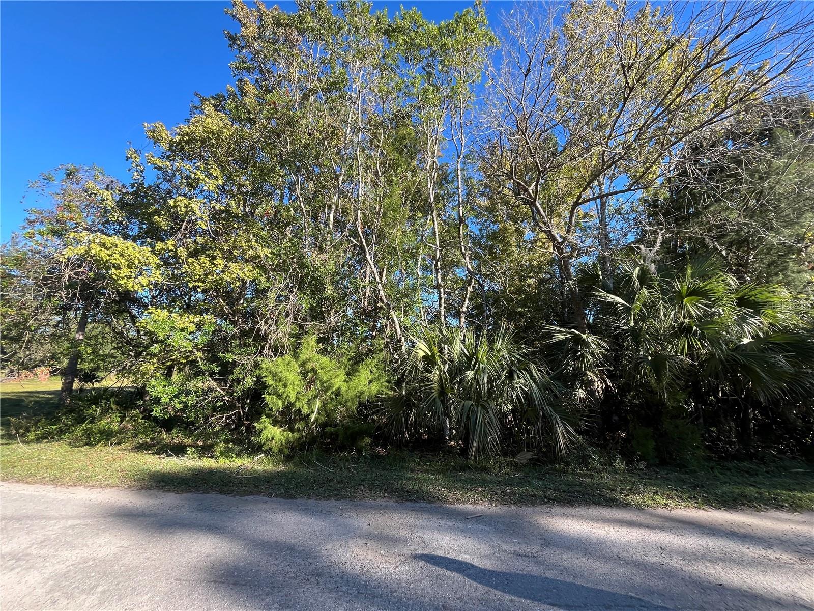 OWNER FINANCING CONSIDERED! Build or bring your dream home to this 2.92 ACRE lot in desirable Homosassa, FL. This is an area that will allow a mobile home or a site-built home. No HOA or deed restrictions. This location is just minutes to get to all the nearest shops or restaurants in town and just a short drive to the Suncoast Parkway to be in the big cities like Tampa or St. Pete!! If you love being near the water, then this is the perfect lot for you. It is a short drive to the Homosassa Springs, Crystal River, and the Gulf. This property won't last long! Call today to make it your own. This lot is listed below market value. Buying Land in Florida is a solid investment for your future, build your dream home, vacation home, rental investment or let the land build value as a great long-term investment to resell for a future profit.