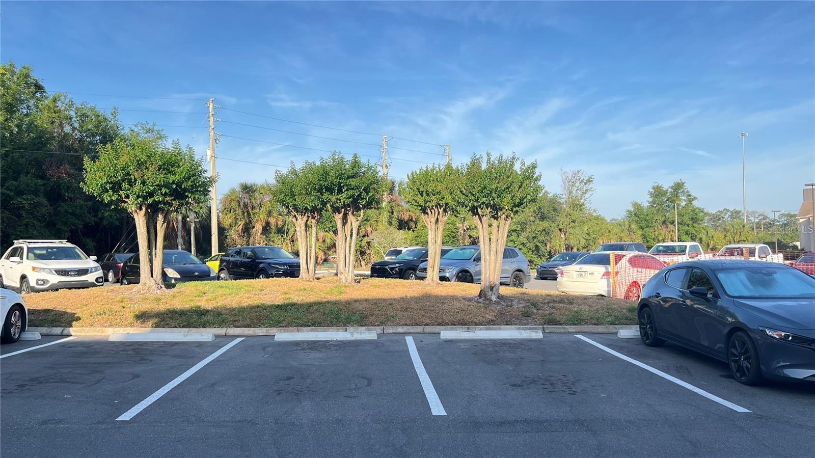 BLOSSOM PARK VILLAS CONDO - Residential Lease