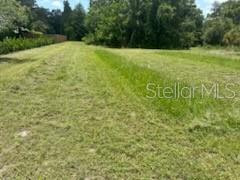 KNOTTY PINE ESTATES - Land