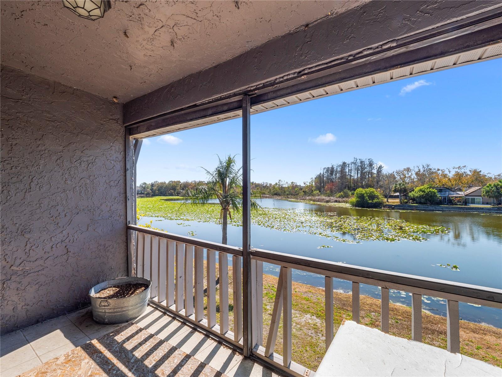 CORTEZ OF CARROLLWOOD A CONDOM - Residential