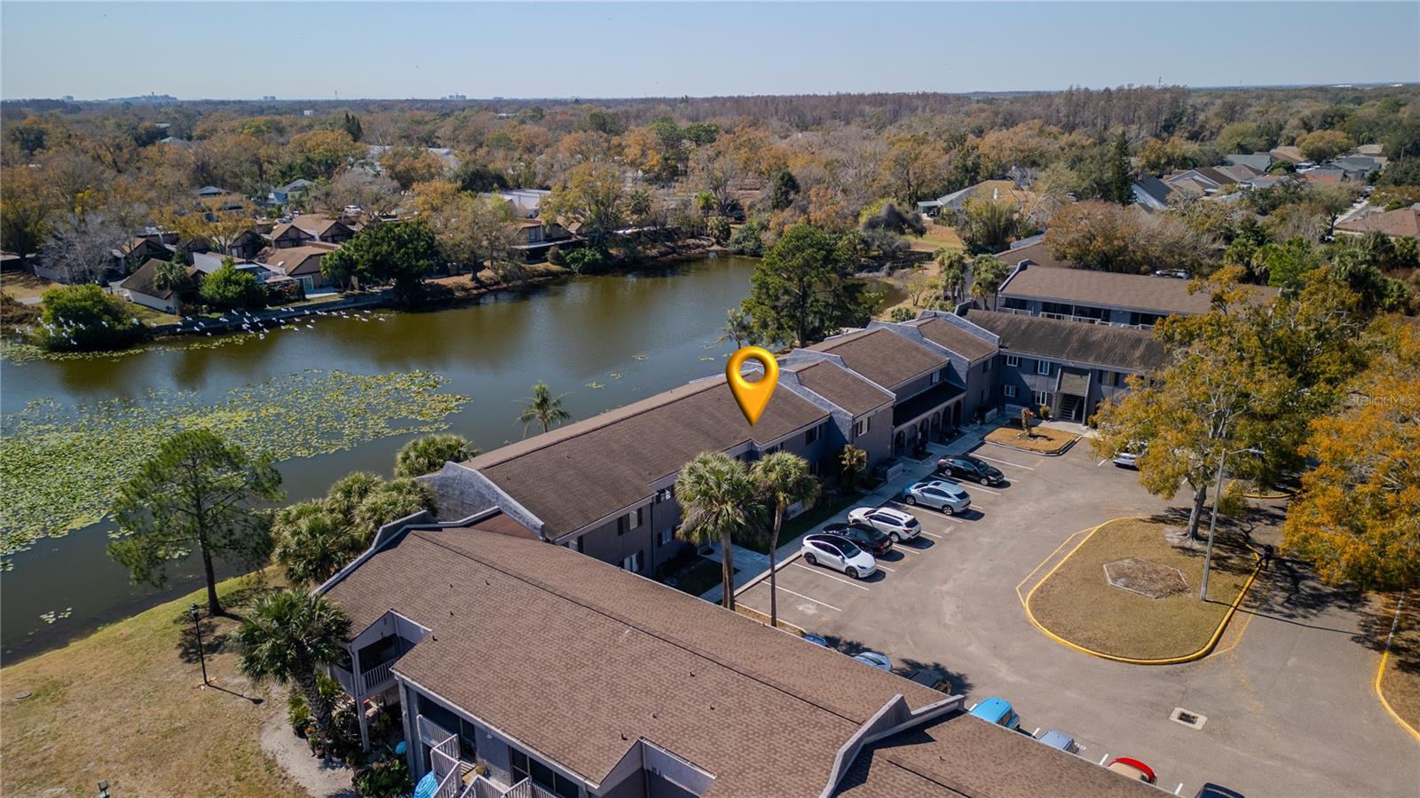 CORTEZ OF CARROLLWOOD A CONDOM - Residential