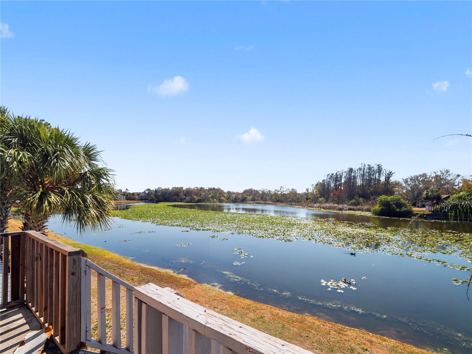 CORTEZ OF CARROLLWOOD A CONDOM - Residential