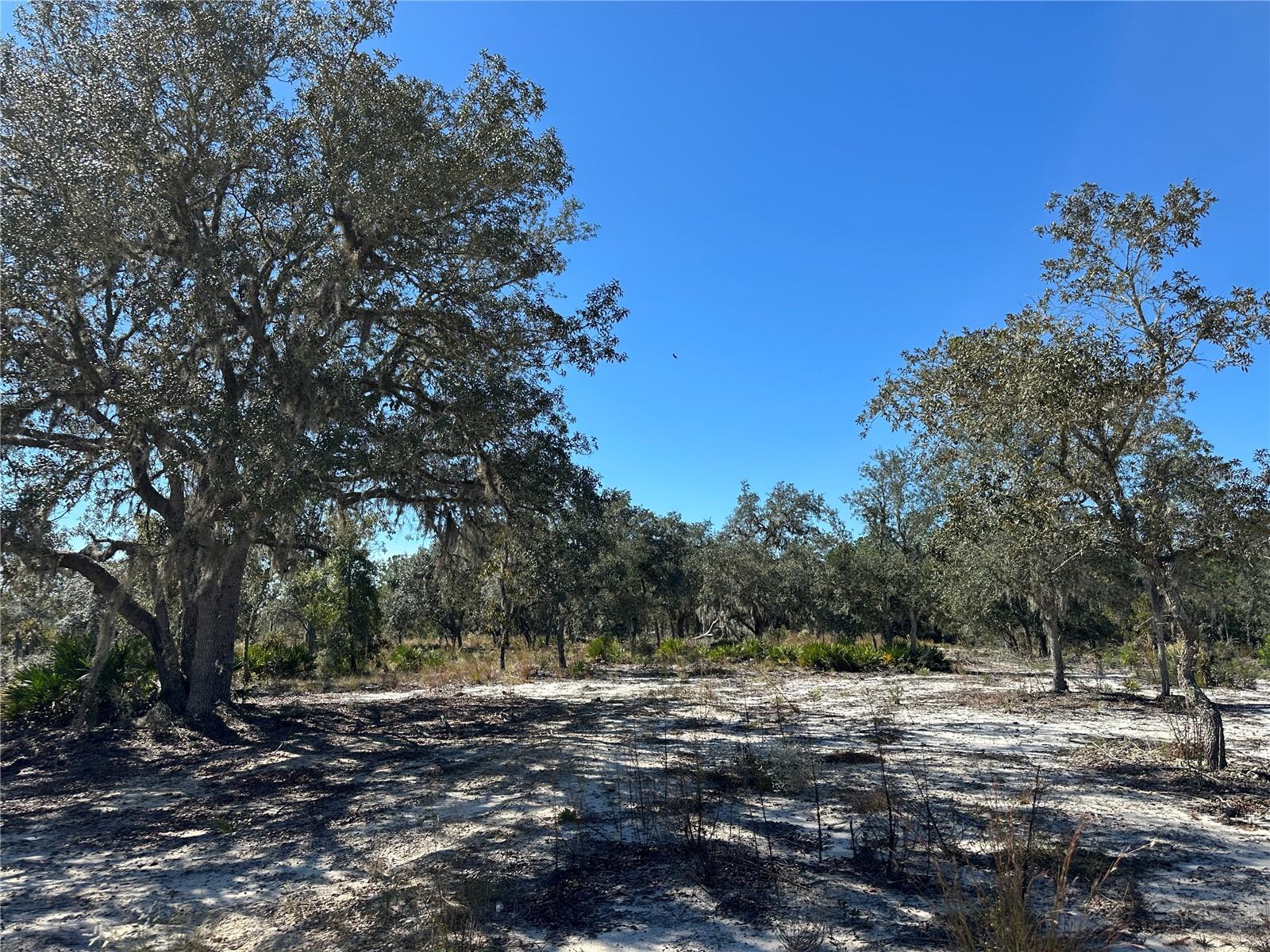 UNIVERSITY ESTATES - Land