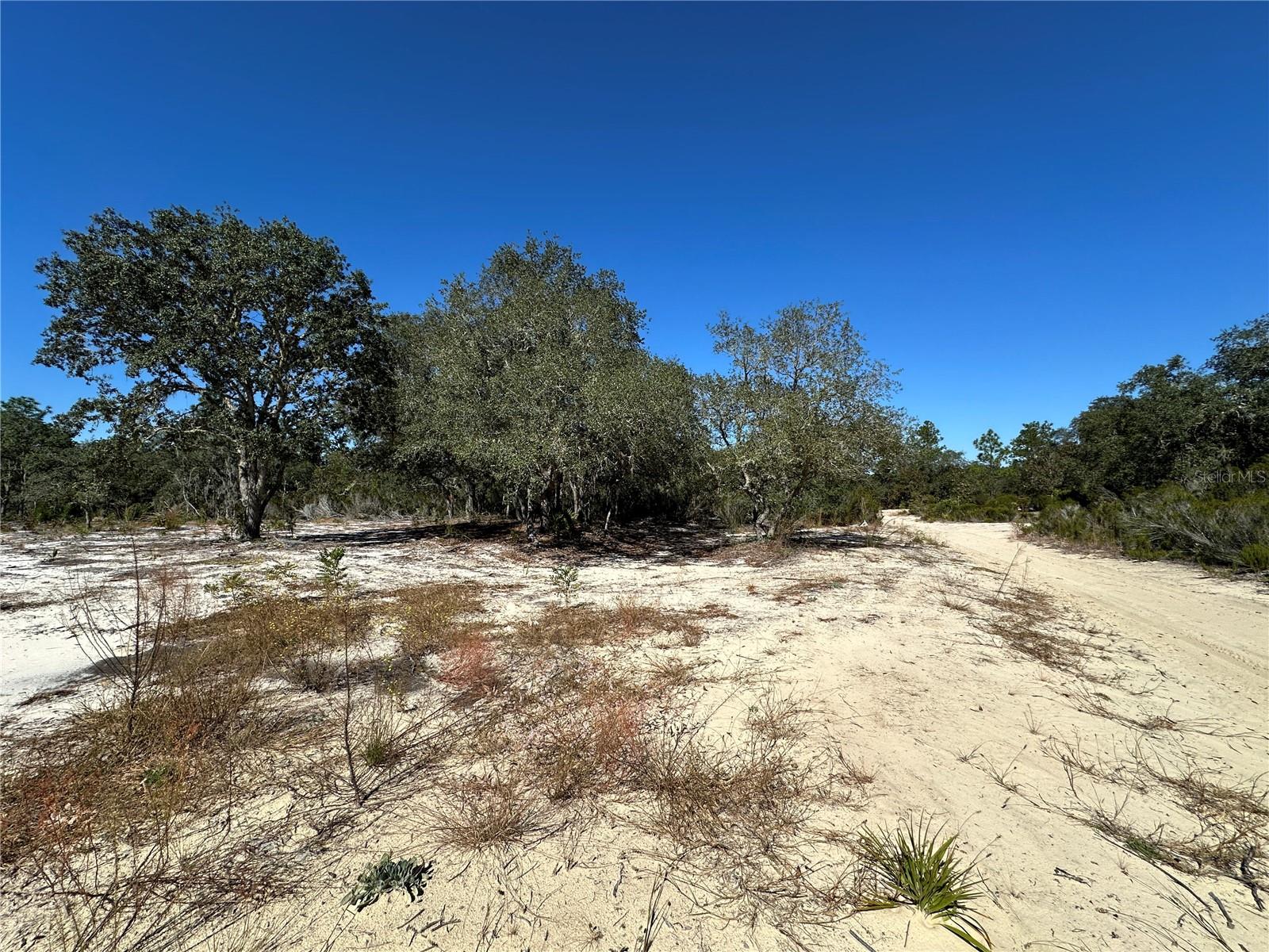 UNIVERSITY ESTATES - Land