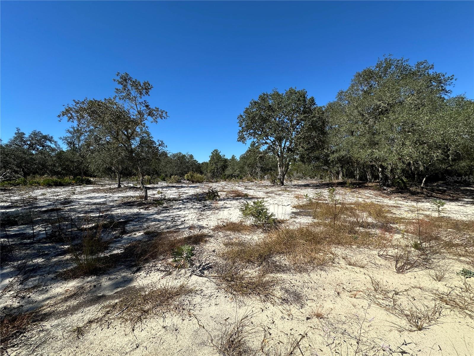 UNIVERSITY ESTATES - Land