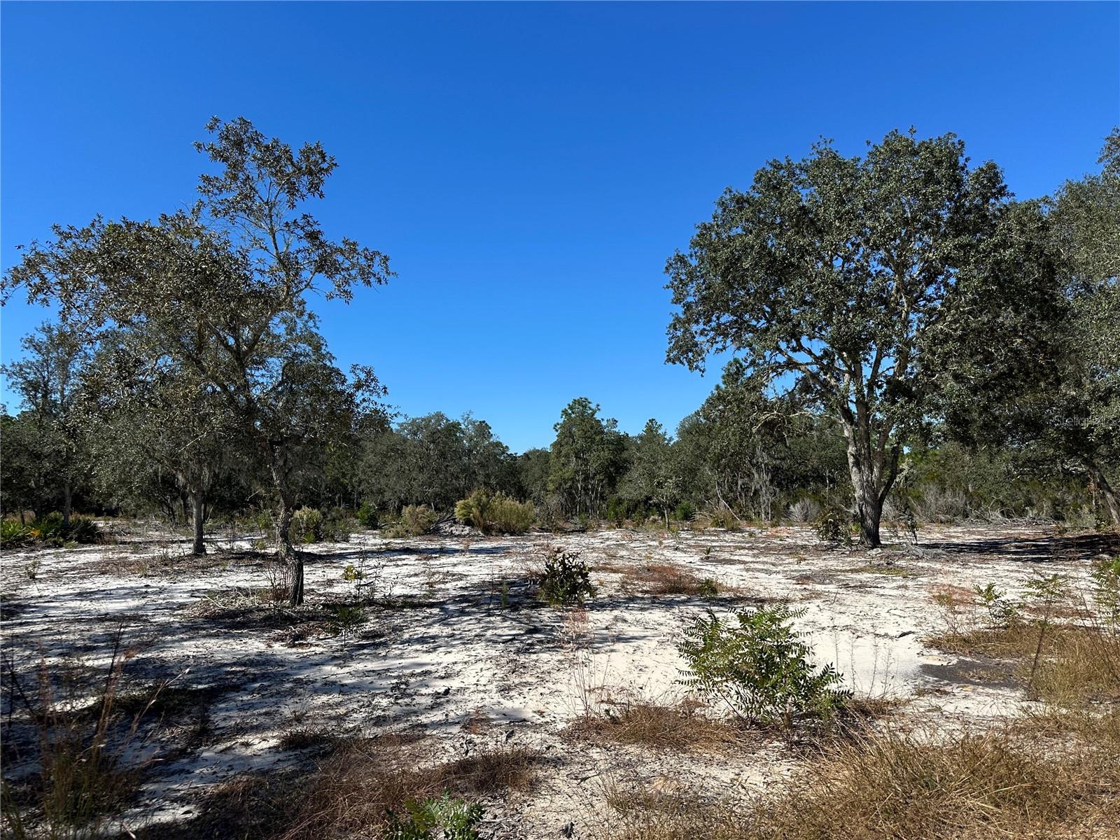 UNIVERSITY ESTATES - Land