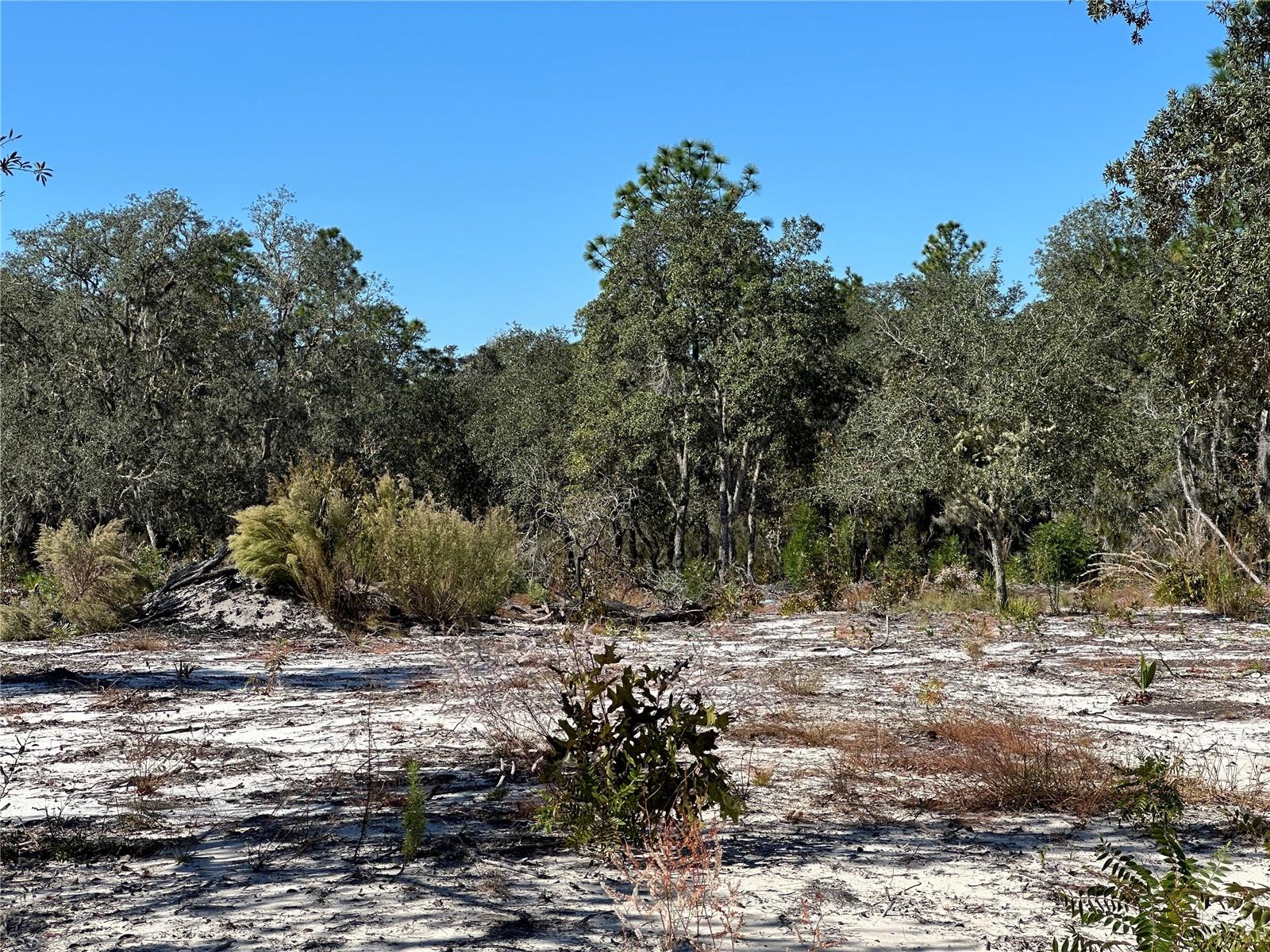 UNIVERSITY ESTATES - Land