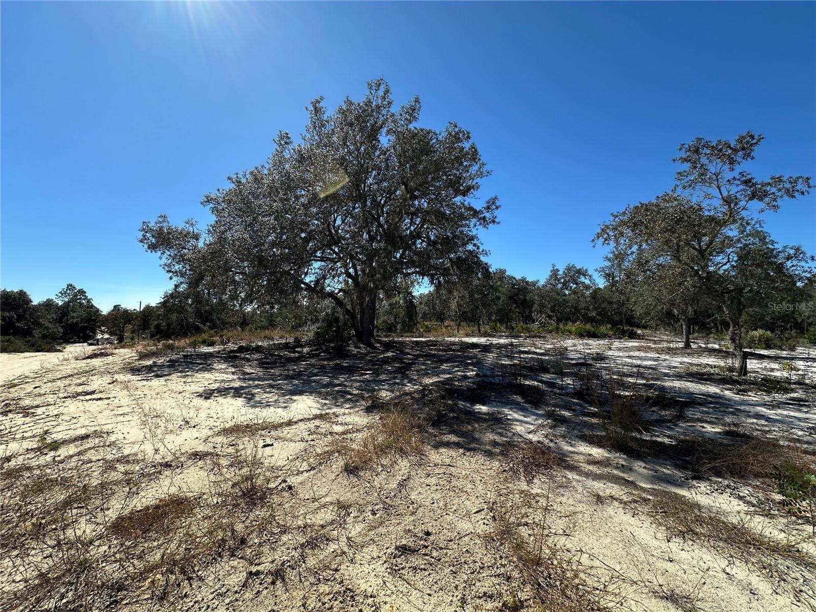 UNIVERSITY ESTATES - Land