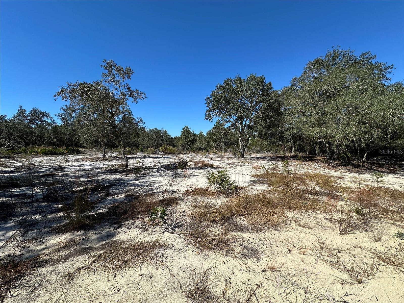 UNIVERSITY ESTATES - Land