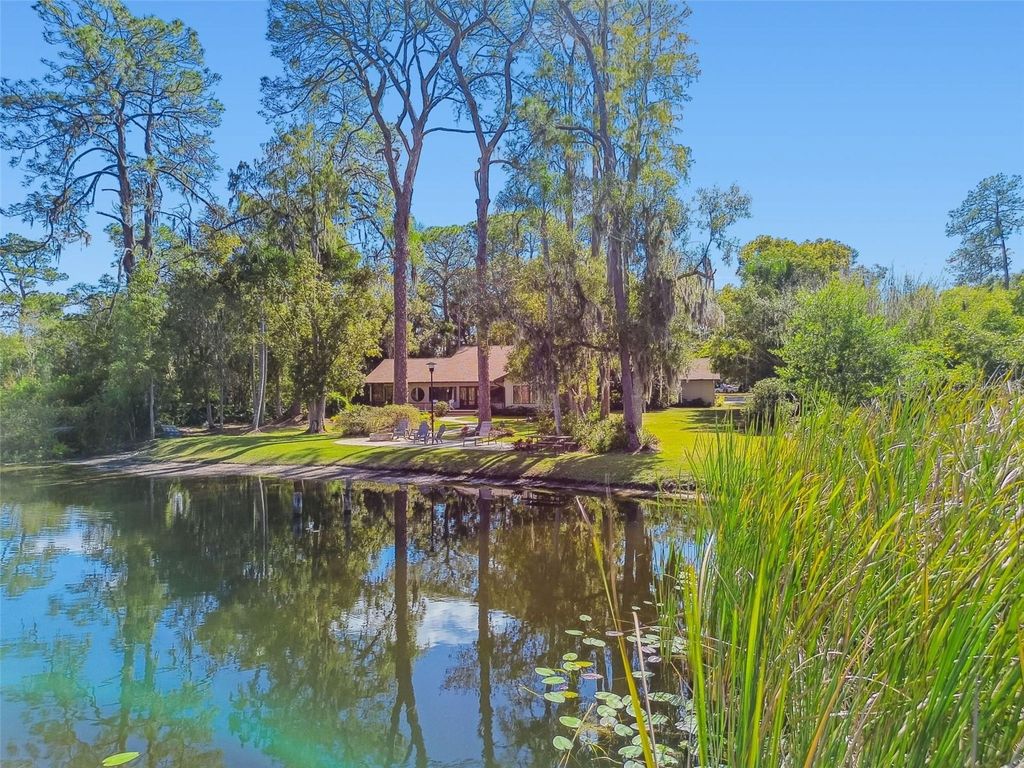 Photo of 8011 N Mobley Road, Odessa, FL 33556 (MLS # W7880556)