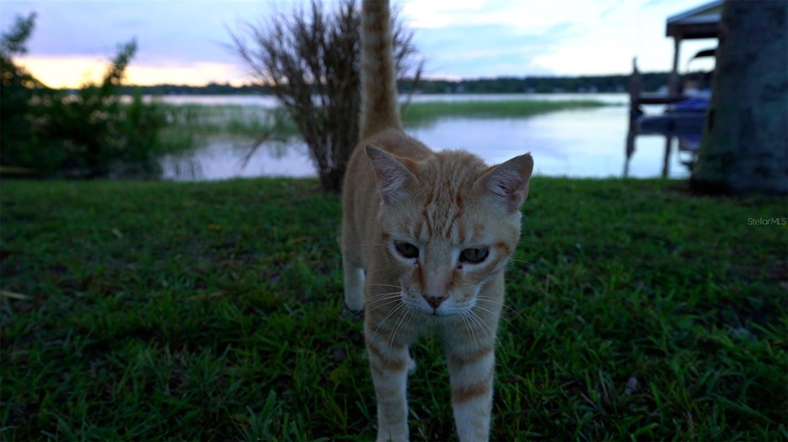 W E HUDSONS SUB - Residential