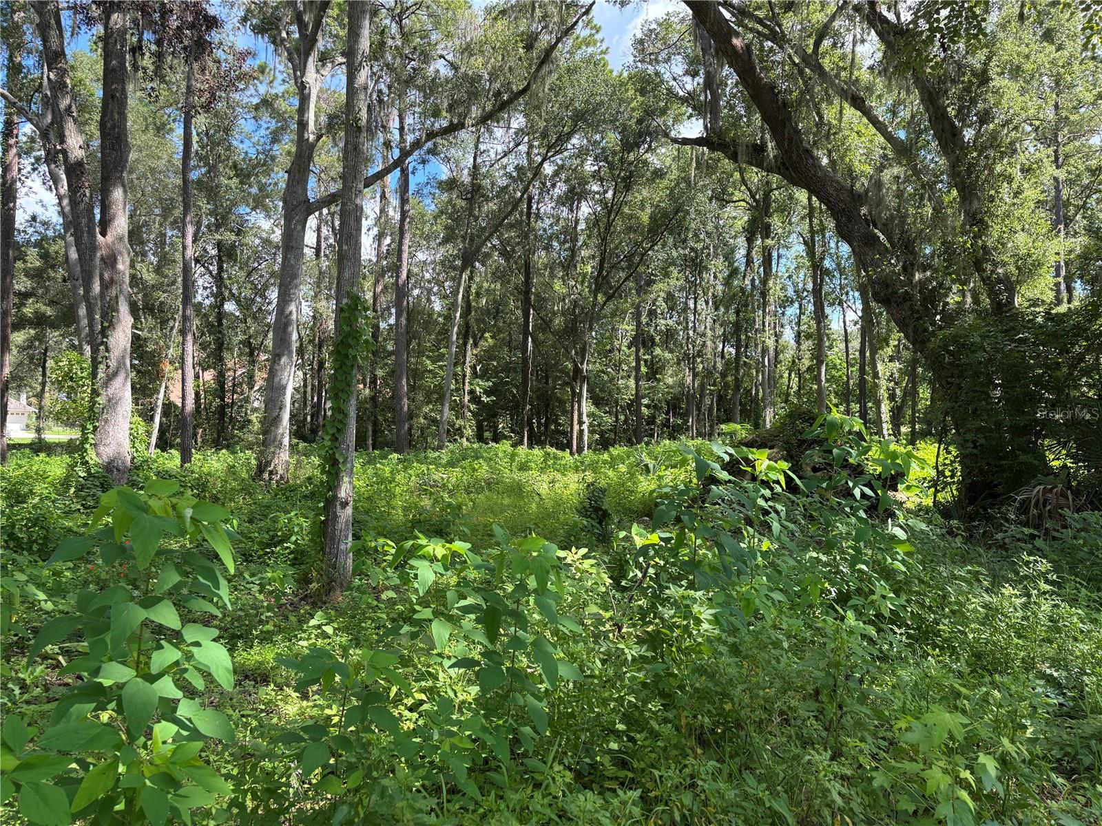 COUNTRY CLUB/OCALA UN 01 - Land