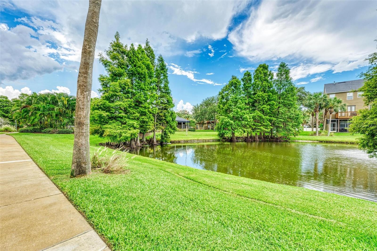 BAYSHORE POINTE TWNHMS PHAS - Residential Lease