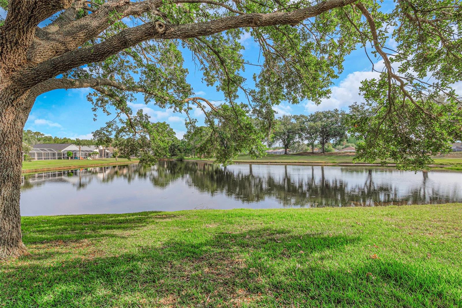 CHEVAL WEST VILLAGE 5B PH 1 - Residential